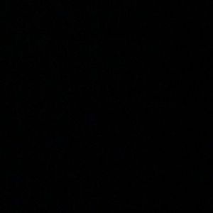 Meet your Posher, Diego